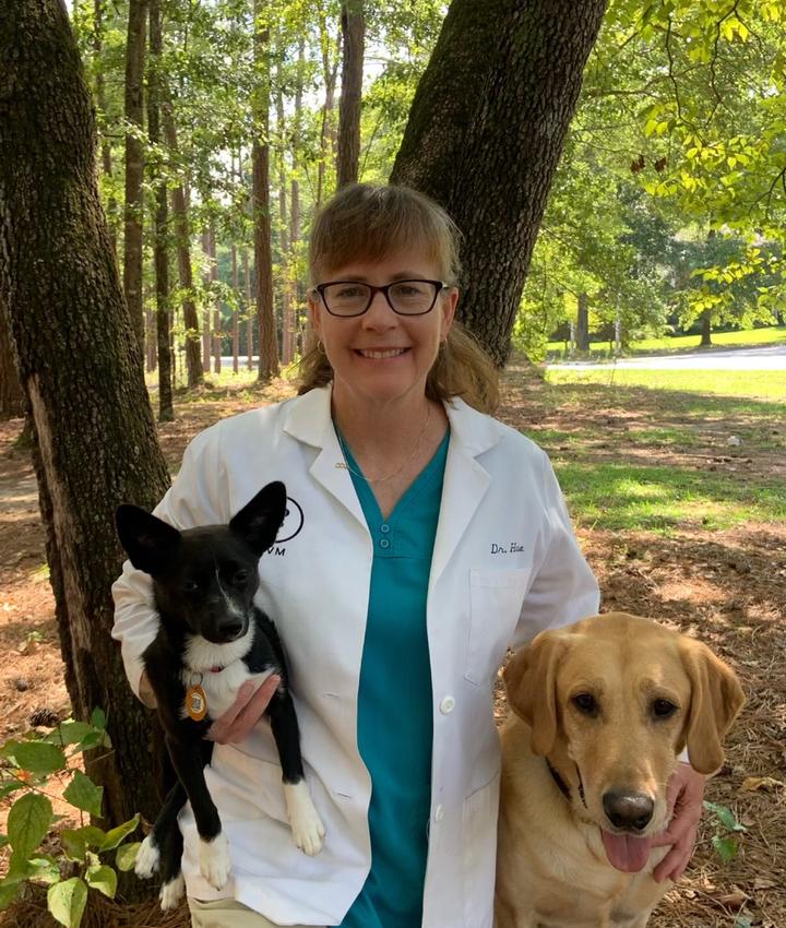 Dr. Ellen Huse, DVM Sunset Animal Clinic